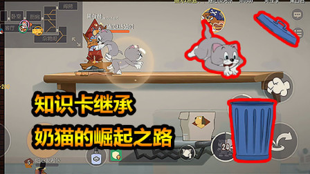 随风猫皇之路68：分身继承知识卡，两夹子秒杀泰菲，小奶猫崛起！