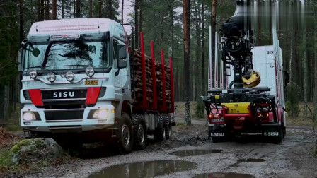 极地卡车运输木材，再泥泞的路也不怕！