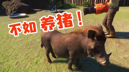 动物园之星：我是养猪专业户！