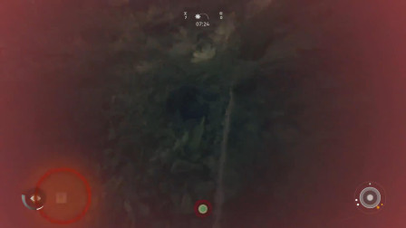 人类始祖：爬藤蔓摔残！楚河简直猩猩界的耻辱！