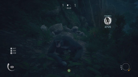 人类始祖：楚河大猩猩疯狂进化！领先同类二百年！