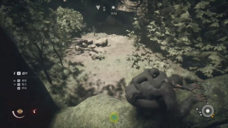 人类始祖：树下唯唯诺诺！树上重拳出击！楚猩猩实力演绎！