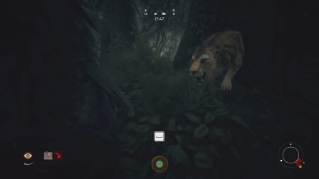 人类始祖：楚河遭剑齿虎追杀！抱头鼠窜上树避难！