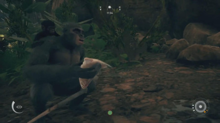 人类始祖：楚河生吃鱼中毒！险些暴尸荒野!