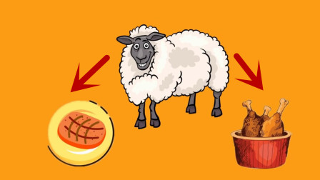 脑筋急转弯：一只近视的羊，会选择牛排还是鸡腿？