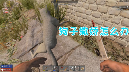 七日杀 爱玛热游10 守株待狗 撞死的二狗子