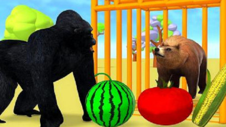 儿童卡通片：黑色大猩猩给小动物们喂食水果