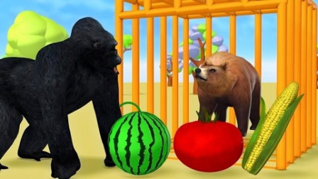 黑猩猩喂动物们水果变色学习认识颜色和水果英语早教益智动画