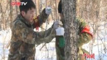 东北虎豹国家公园绥阳林业局开展冬季“四清” 力保野生动物安全
