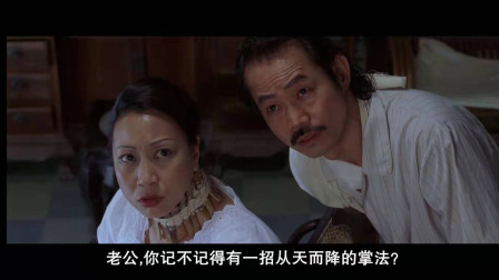 你还记不记得一招从天而降得掌法？
