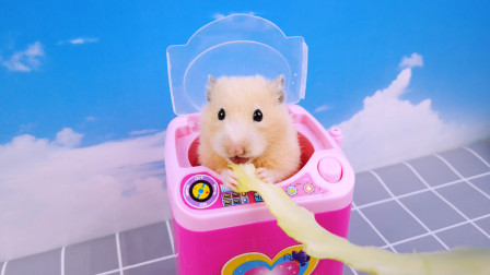 仓鼠吃同类 – 搜库