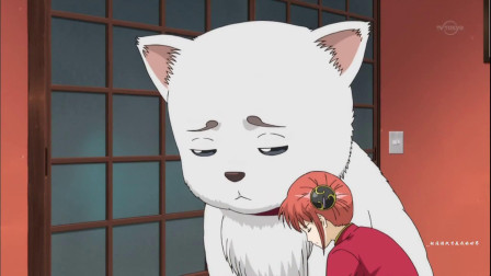 银魂——银时神乐与定春分狗粮吃,定春表情很无奈