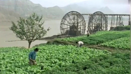 看中国：1980年的黄河沿岸，当时当地的面貌，人们的生活影像