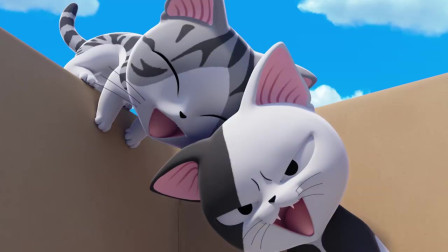 甜甜私房猫：可奇，你不记得小奇了吗