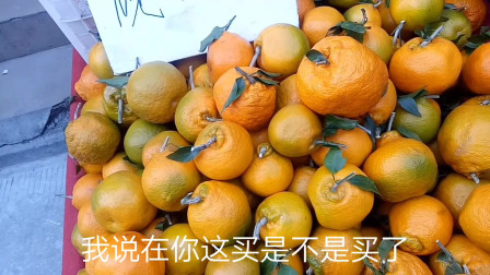 四川最火的水果耙耙柑，陕西人在成都购买分不清好坏