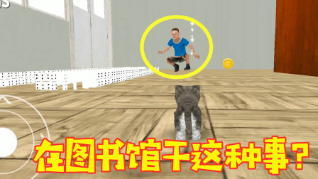 小猫模拟器：我变成了小猫，在图书馆有个不学习的人，我教训了他