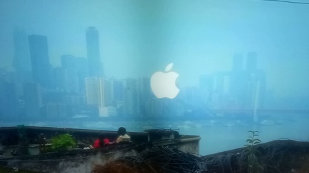 fi11在线免费观看