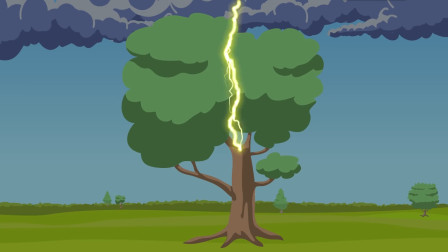 树木是绝缘体，为什么雷电能把树木劈倒？看雷电形成原因就知道