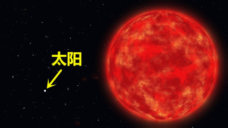 目前发现最大的恒星，盾牌座UY，半径是太阳的1700倍