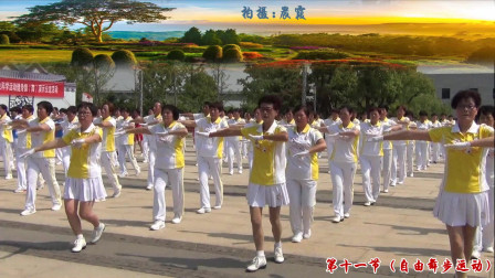 神鹤起飞健身操镇海总站演示第六套第11节《自由舞步运动》
