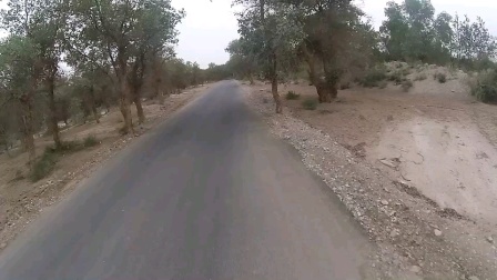 Achilles骑行环段南疆 巴楚县-西克尔库勒镇 喀什