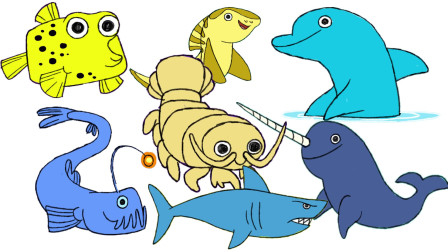 大鲨鱼独角鲸大海龟儿童英语字母abc学习