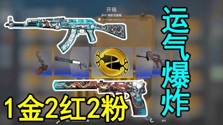 【预告】CSGO帮粉丝开箱出金！运气炸裂1金2红2粉！连出两把红！