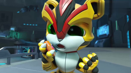 猪猪侠之超星可爱宠:阿五变大胖子,吃这么多宝石,肚皮都要撑破了