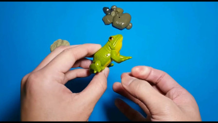 早教认知玩具：青蛙的成长历程，小蝌蚪找妈妈，看看小蝌蚪怎么变青蛙