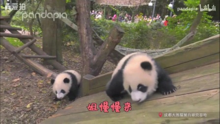 大熊猫绩笑大话熊猫13集中的 笑笑