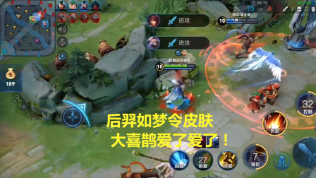 后羿如梦令皮肤，手感不输狗年皮肤，大喜鹊爱了爱了！