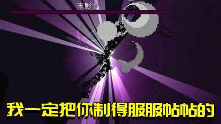 我的世界联机生存98：把末影龙驯服的服服帖帖，甚至不会攻击我？