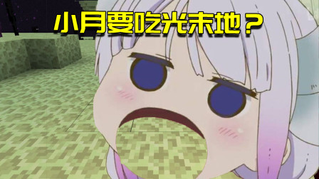 我的世界联机生存99：小月要吃光整个末地？紫颂果在角落瑟瑟发抖