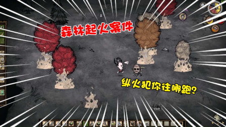 【饥荒】森林莫名起火案件！原来纵火犯就在我们中间