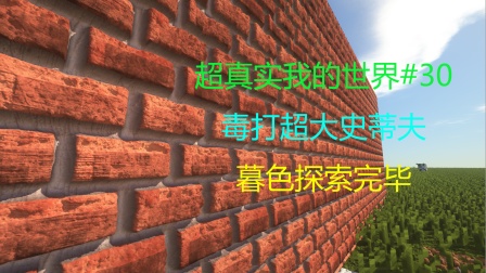 超真实我的世界#30 毒打超大史蒂夫 暮色探索完毕.mp4