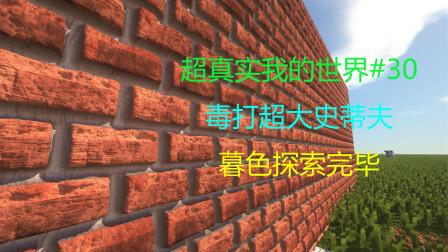 超真实我的世界#30 毒打超大史蒂夫 暮色探索完毕