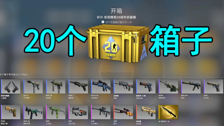 CSGO：帮粉丝开箱15，开20个箱子4种系列能出什么皮肤？