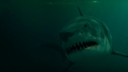 大海啸：乔什直接跳下水和大鲨鱼决一战！太猛了吧，溅一脸血