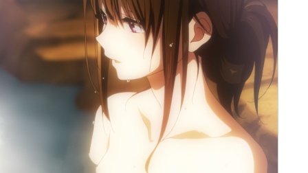 【完结篇】我实在受不了...植物大战僵尸95版二周目