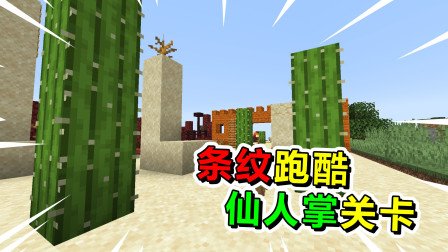 我的世界条纹跑酷：这关仙人掌真难受！扎得我脚都要断了