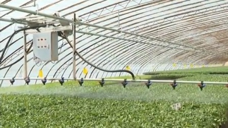 央视新闻联播 2020 各地科学组织农业生产 保障粮食丰收