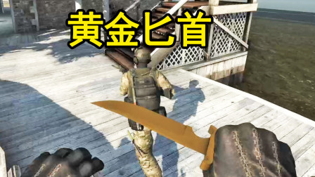 CSGO：成为第一名获得金色匕首，背后刀敌人我笑出猪叫！