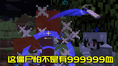 我的世界拔刀剑生存13：从来没见过这么恐怖的僵尸！血量100万？