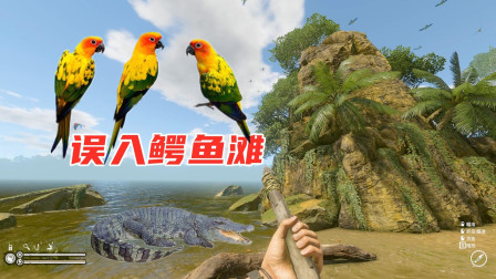 帝哥历险记：绿色地狱08，沿河流捕鱼狩猎，险些被鳄鱼偷袭