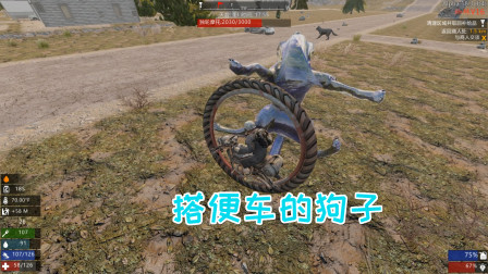 七日杀蜘蛛11 想搭便车的狗王如此垃圾