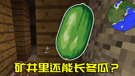 我的世界拔刀剑生存17：橡木板竟能长出冬瓜？矿洞历险刷新我三观