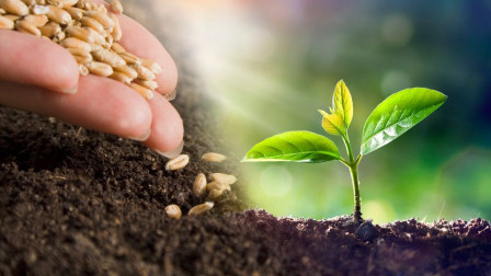 春天要播种育苗,穴盘省时省力,我们湖北这个传统农具打营养钵丝毫不输