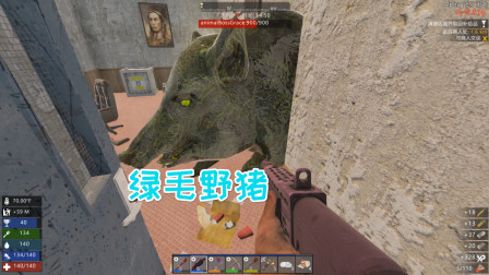 七日杀蜘蛛19 轻松度过第三波血月尸潮暴富！