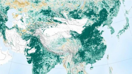 全球森林覆盖图流出！我国沿海和东北地区绿了，NASA点名称赞
