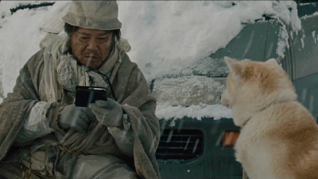 日本感人电影《星守之犬》，主人离世依旧陪伴在旁的秋田犬，太催泪了！